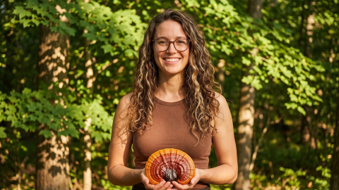 Fascynujący Reishi (Ganoderma lucidum)